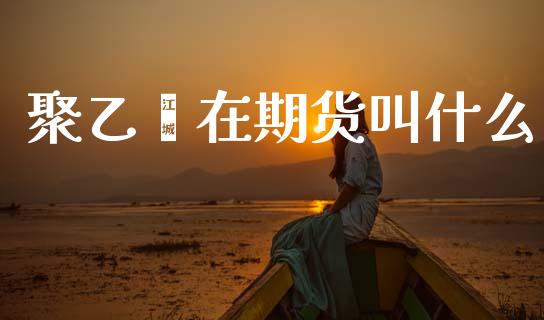 聚乙烯在期货叫什么_https://cj002.lansai.wang_期货问答_第1张