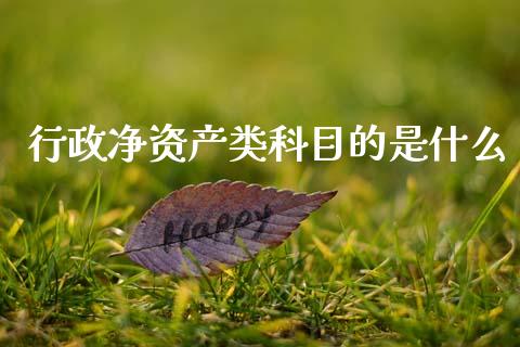 行政净资产类科目的是什么_https://cj002.lansai.wang_会计问答_第1张
