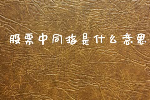 股票中同指是什么意思_金融问答_第1张_财经百问网 股票中同指是什么意思_https://cj002.lansai.wang_金融问答_第1张