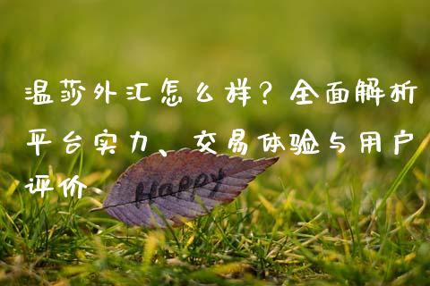 温莎外汇怎么样？全面解析平台实力、交易体验与用户评价_https://cj002.lansai.wang_期货问答_第1张