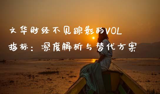 文华财经不见踪影的VOL指标：深度解析与替代方案_https://cj002.lansai.wang_财经问答_第1张