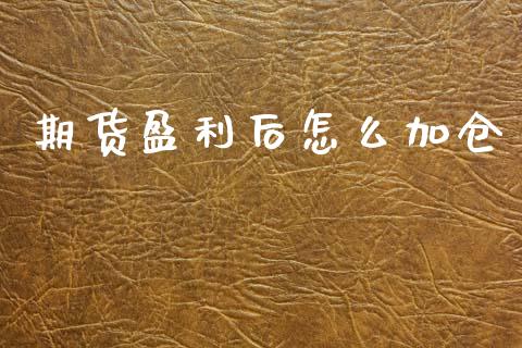 期货盈利后怎么加仓_https://cj002.lansai.wang_保险问答_第1张