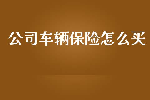 公司车辆保险怎么买_https://cj002.lansai.wang_保险问答_第1张