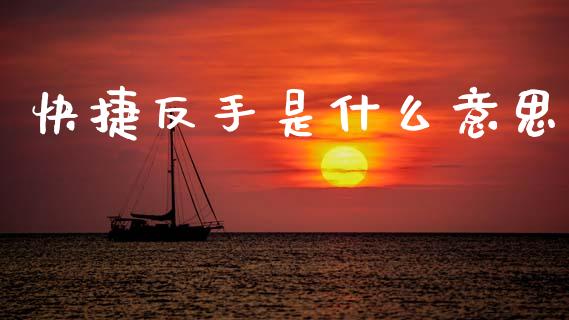 快捷反手是什么意思_金融问答_第1张_财经百问网 快捷反手是什么意思_https://cj002.lansai.wang_金融问答_第1张