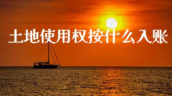 土地使用权按什么入账_https://cj002.lansai.wang_会计问答_第1张