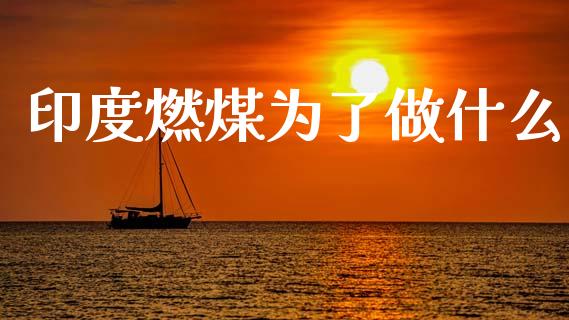 印度燃煤为了做什么_https://cj002.lansai.wang_股市问答_第1张