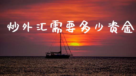 炒外汇需要多少资金_https://cj002.lansai.wang_财经问答_第1张