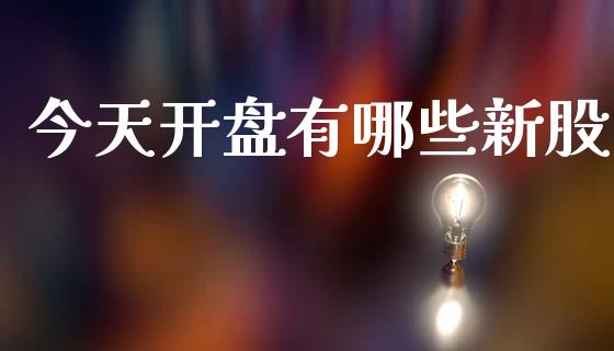 今天开盘有哪些新股_https://cj002.lansai.wang_股市问答_第1张