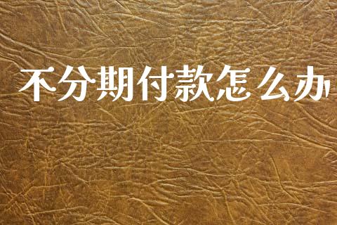 不分期付款怎么办_https://cj002.lansai.wang_股市问答_第1张