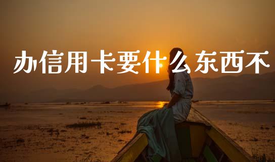 办信用卡要什么东西不_https://cj002.lansai.wang_理财问答_第1张