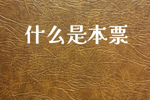 什么是本票_https://cj002.lansai.wang_会计问答_第1张
