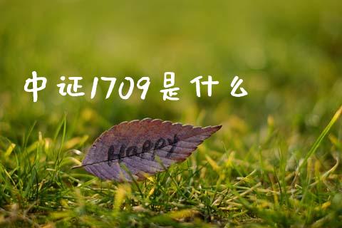 中证1709是什么_https://cj002.lansai.wang_期货问答_第1张