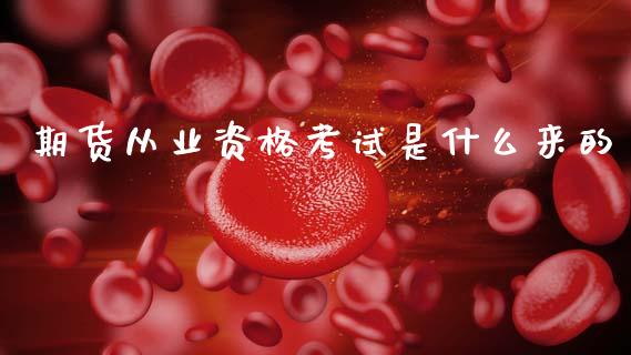 期货从业资格考试是什么来的_https://cj002.lansai.wang_金融问答_第1张