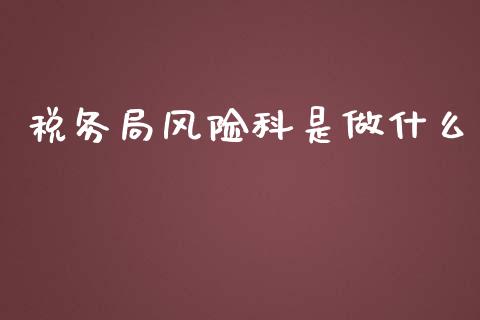 税务局风险科是做什么_https://cj002.lansai.wang_会计问答_第1张