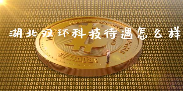 湖北双环科技待遇怎么样_保险问答_第1张_财经百问网 湖北双环科技待遇怎么样_https://cj002.lansai.wang_保险问答_第1张
