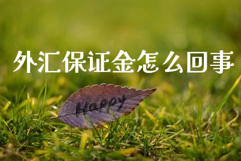 外汇保证金怎么回事_https://cj002.lansai.wang_财经问答_第1张