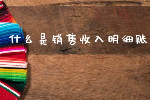 什么是销售收入明细账_https://cj002.lansai.wang_会计问答_第1张