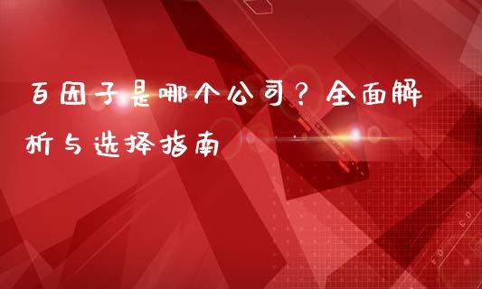 百因子是哪个公司？全面解析与选择指南_https://cj002.lansai.wang_金融问答_第1张