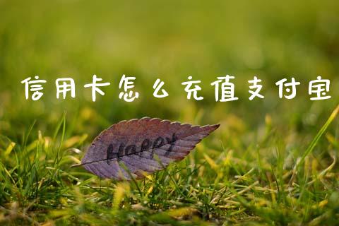 信用卡怎么充值支付宝_https://cj002.lansai.wang_金融问答_第1张