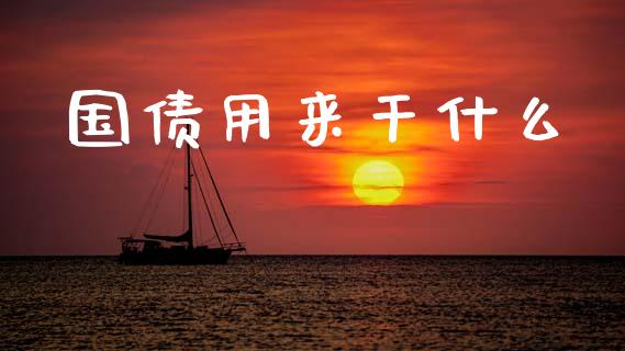 国债用来干什么_https://cj002.lansai.wang_会计问答_第1张