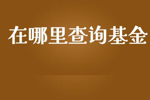 在哪里查询基金_https://cj002.lansai.wang_理财问答_第1张