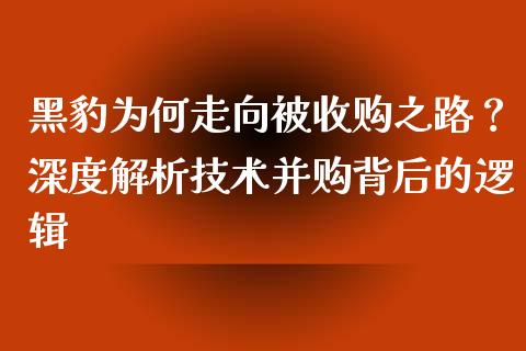 黑豹为何走向被收购之路？深度解析技术并购背后的逻辑_https://cj002.lansai.wang_期货问答_第1张