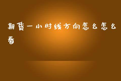 期货一小时线方向怎么怎么看_https://cj002.lansai.wang_期货问答_第1张