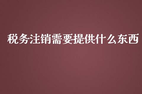 税务注销需要提供什么东西_https://cj002.lansai.wang_会计问答_第1张
