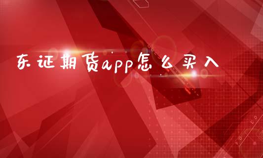 东证期货app怎么买入_https://cj002.lansai.wang_金融问答_第1张