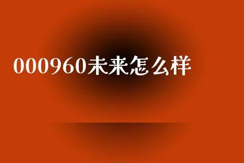 000960未来怎么样_https://cj002.lansai.wang_股市问答_第1张