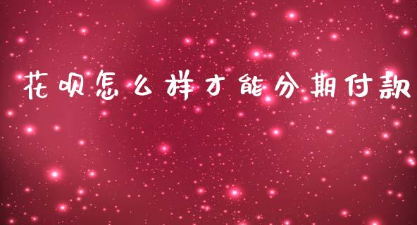 花呗怎么样才能分期付款_https://cj002.lansai.wang_理财问答_第1张