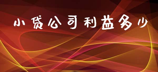 小贷公司利益多少_https://cj002.lansai.wang_财经问答_第1张