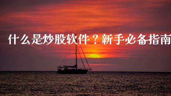 什么是炒股软件？新手必备指南_https://cj002.lansai.wang_财经问答_第1张