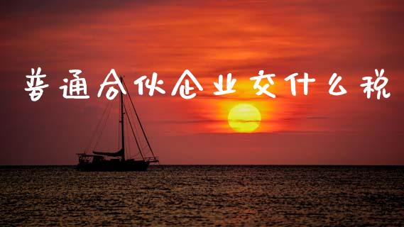 普通合伙企业交什么税_https://cj002.lansai.wang_会计问答_第1张