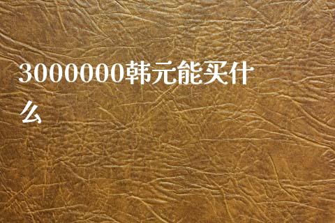 3000000韩元能买什么_https://cj002.lansai.wang_财经问答_第1张