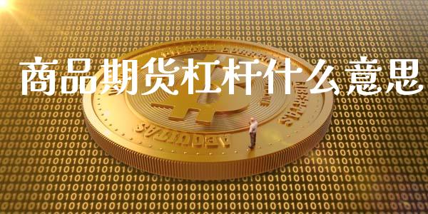 商品期货杠杆什么意思_https://cj002.lansai.wang_期货问答_第1张