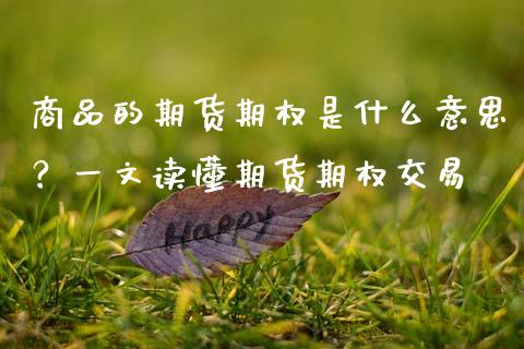 商品的期货期权是什么意思？一文读懂期货期权交易_https://cj002.lansai.wang_期货问答_第1张