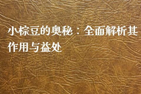 小棕豆的奥秘：全面解析其作用与益处_https://cj002.lansai.wang_金融问答_第1张