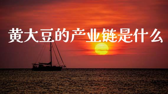 黄大豆的产业链是什么_https://cj002.lansai.wang_财经百问_第1张