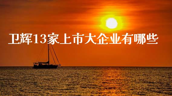 卫辉13家上市大企业有哪些_https://cj002.lansai.wang_财经百问_第1张