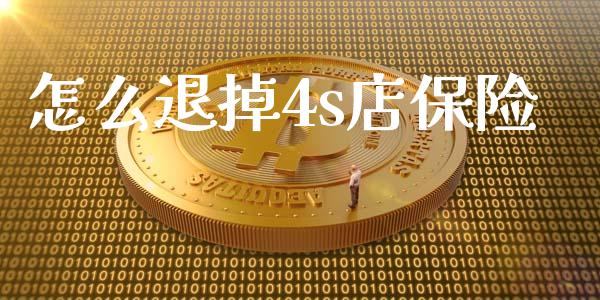怎么退掉4s店保险_https://cj002.lansai.wang_保险问答_第1张