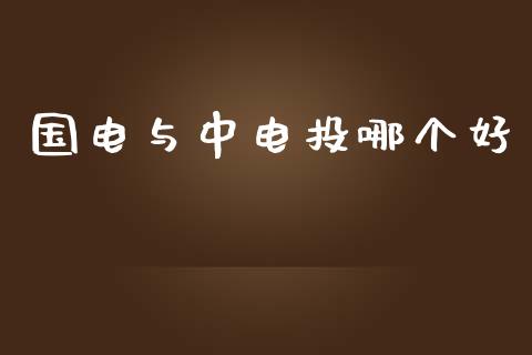 国电与中电投哪个好_https://cj002.lansai.wang_财经问答_第1张