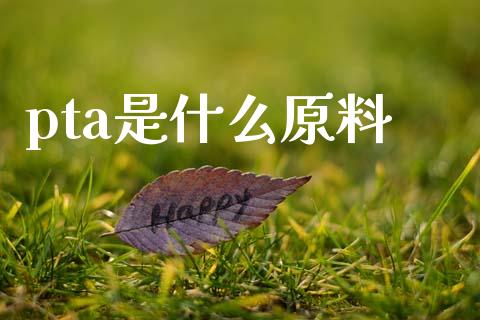 pta是什么原料_期货问答_第1张_财经百问网 pta是什么原料_https://cj002.lansai.wang_期货问答_第1张
