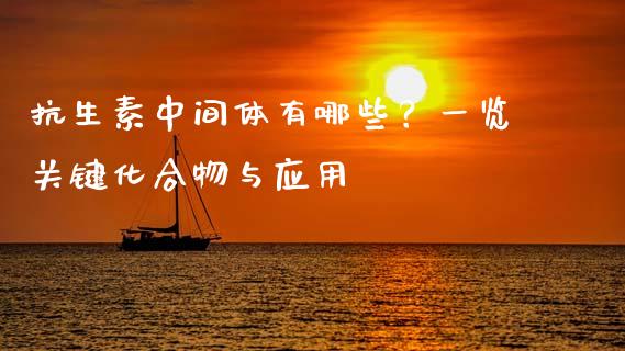 抗生素中间体有哪些？一览关键化合物与应用_https://cj002.lansai.wang_理财问答_第1张