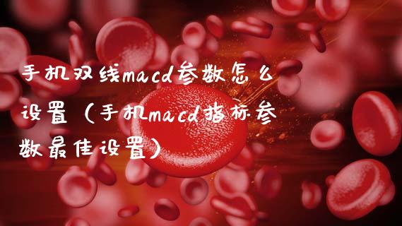 手机双线macd参数怎么设置（手机macd指标参数最佳设置）_https://cj002.lansai.wang_理财问答_第1张