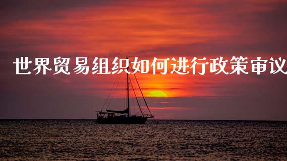 世界贸易组织如何进行政策审议_https://cj002.lansai.wang_财经问答_第1张