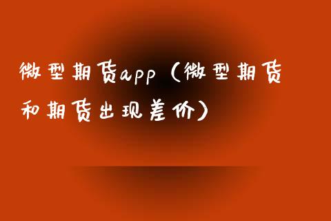 微型期货app（微型期货和期货出现差价）_https://cj002.lansai.wang_会计问答_第1张