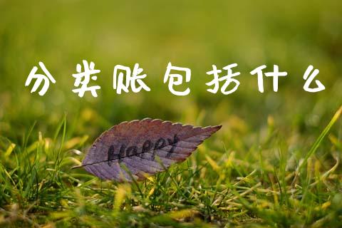 分类账包括什么_https://cj002.lansai.wang_会计问答_第1张