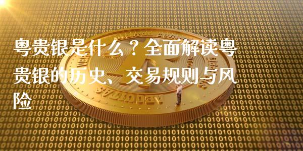 粤贵银是什么？全面解读粤贵银的历史、交易规则与风险_https://cj002.lansai.wang_股市问答_第1张