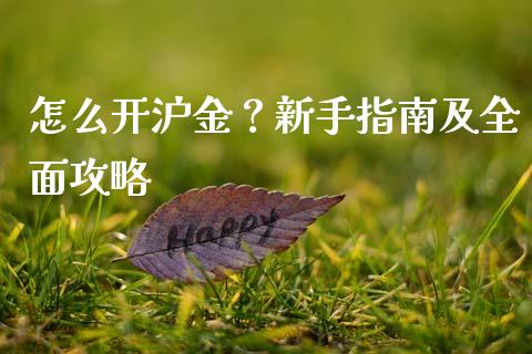 怎么开沪金？新手指南及全面攻略_https://cj002.lansai.wang_财经问答_第1张